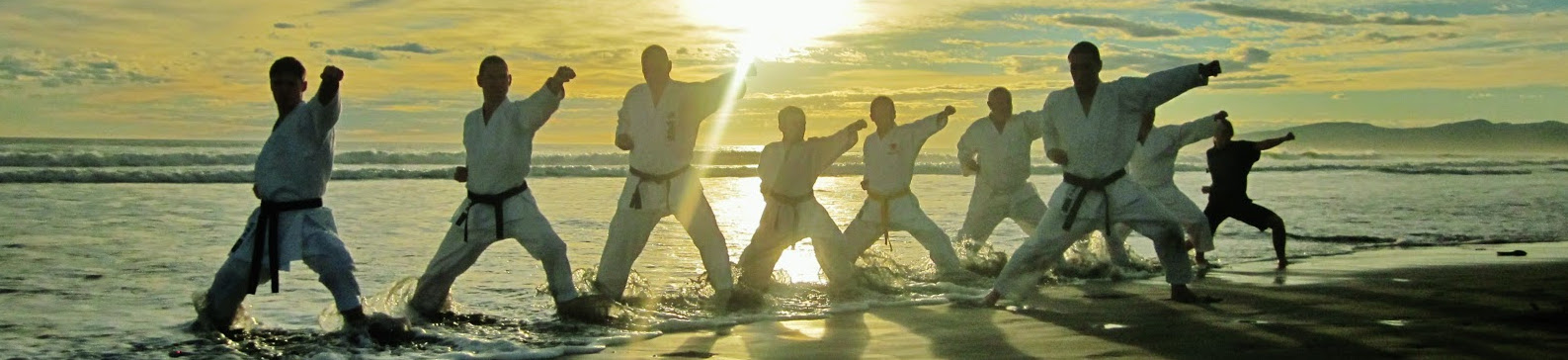 Banner  panorámico de Holistic Palma centro de Artes Marciales y Medicina Tradicional China a cargo del Maestro Daniel Rueda Chinchilla y Dra. Laura Cinca Travesset